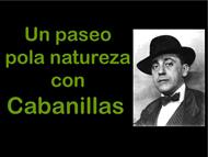 Cabanilla e a natureza, as estacións